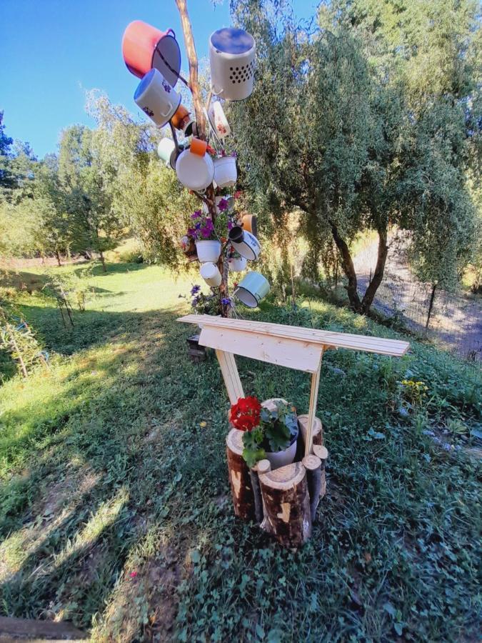Casa De La Ferma Mariuca Villa Berbesti Bagian luar foto