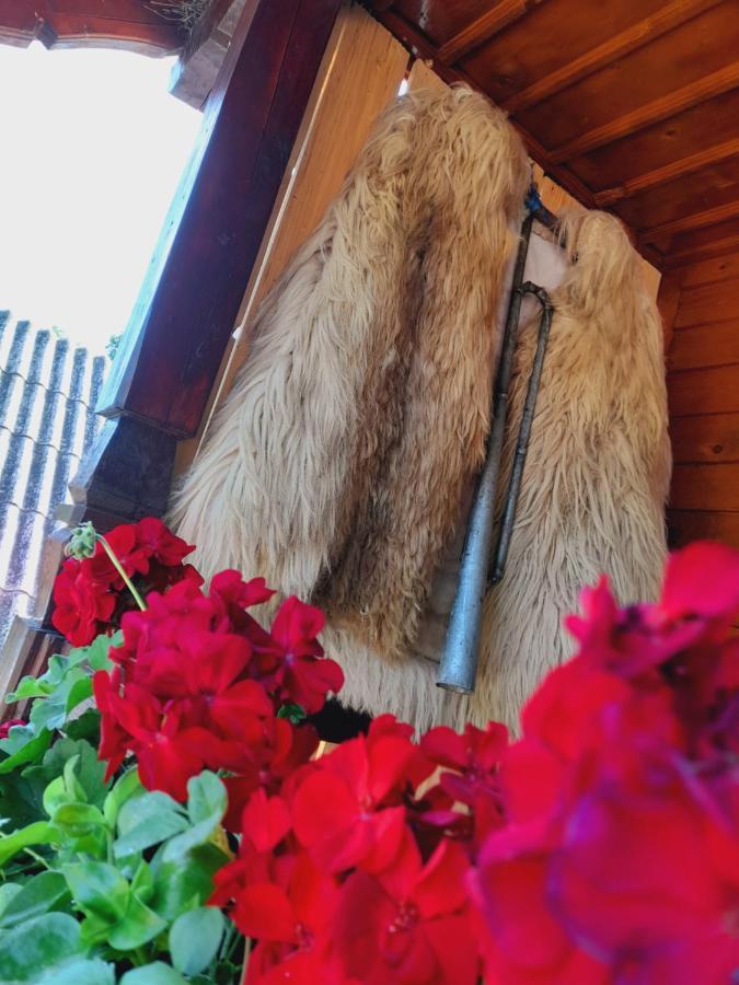 Casa De La Ferma Mariuca Villa Berbesti Bagian luar foto