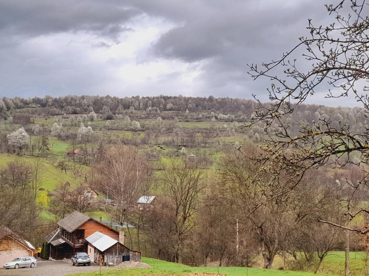 Casa De La Ferma Mariuca Villa Berbesti Bagian luar foto