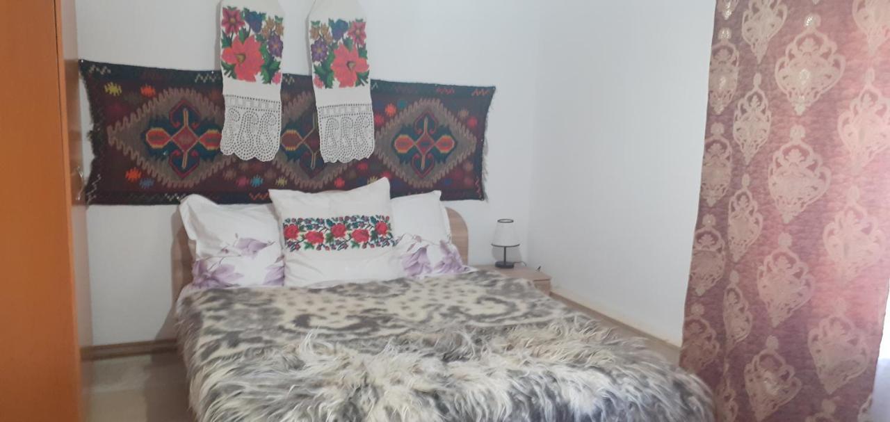 Casa De La Ferma Mariuca Villa Berbesti Bagian luar foto