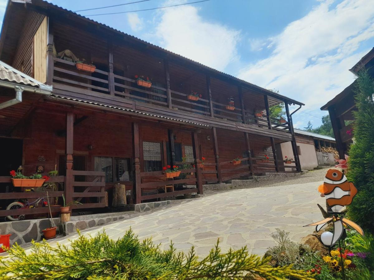 Casa De La Ferma Mariuca Villa Berbesti Bagian luar foto